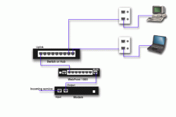 Backup Systems hopenet computers